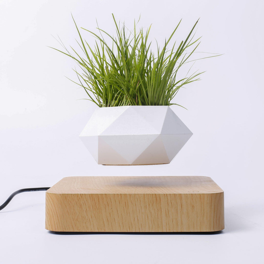 Levitating Floating Plant Pot / Lamp - view 2