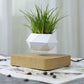 Levitating Floating Plant Pot / Lamp - view 3