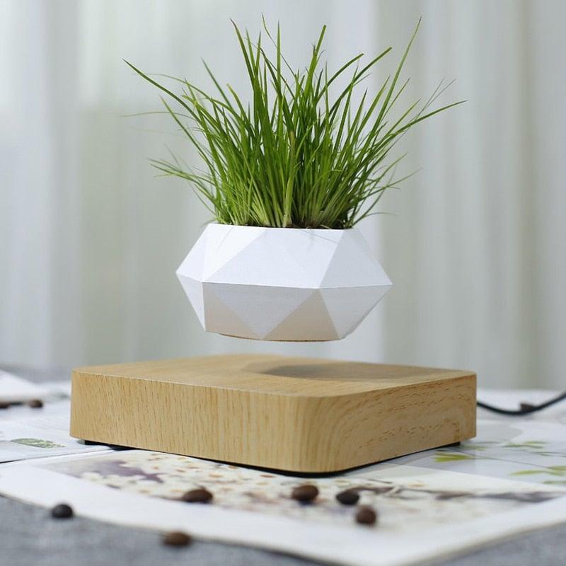 Levitating Floating Plant Pot / Lamp - view 3