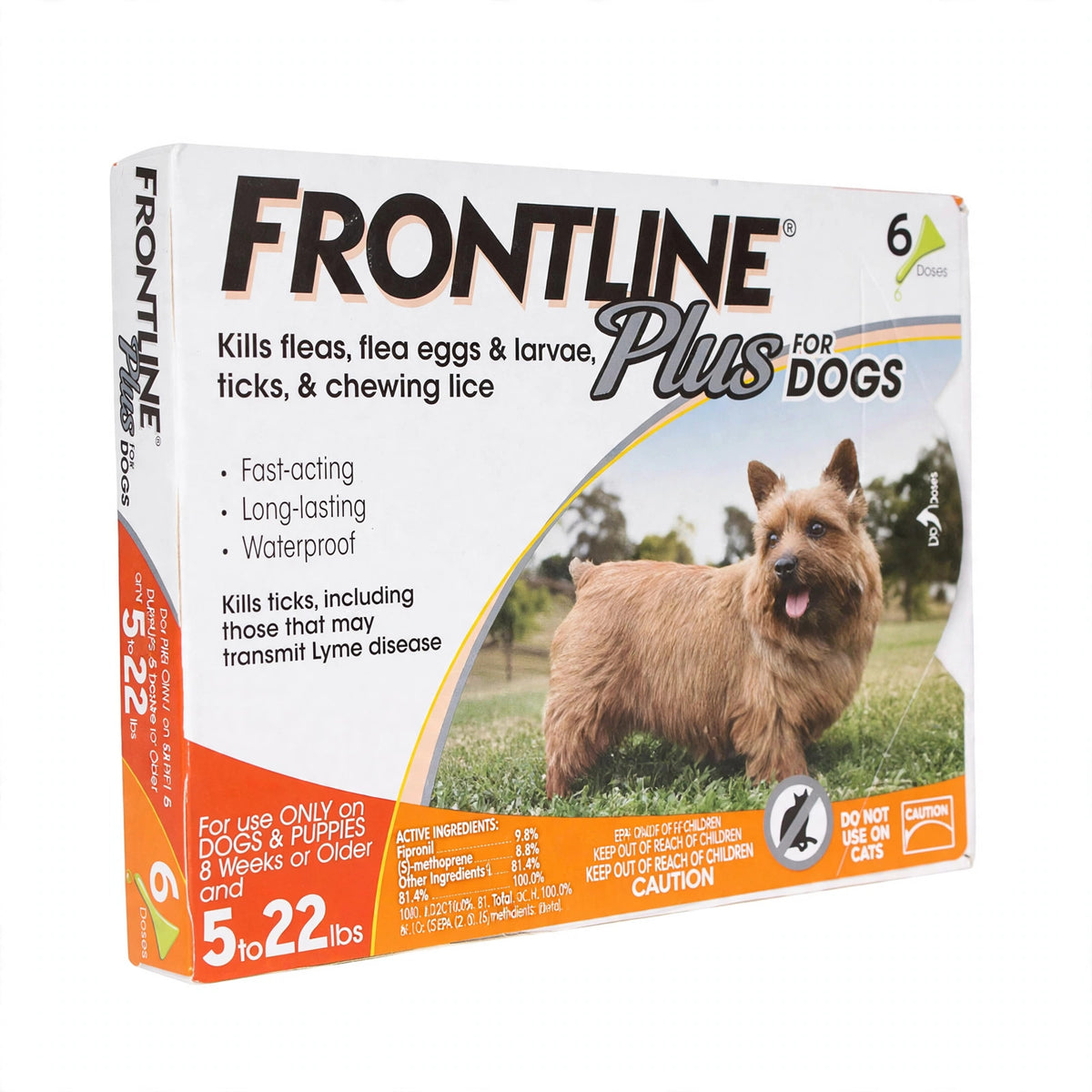 Frontline Plus Flea and Tick Treatment for Small Dogs 5-22 LBs 6 Doses - closeup