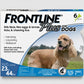 Frontline Plus Flea and Tick Treatment for medium Dogs 23-44 LBs 6 Dos - closeup