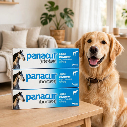3 Pack Dewormer Horse Paste 10%, 100Mg Each - happypet