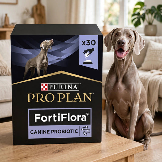 Purina Pro Plan Veterinary Supplements FortiFlora Dog 30 Ct - happypet