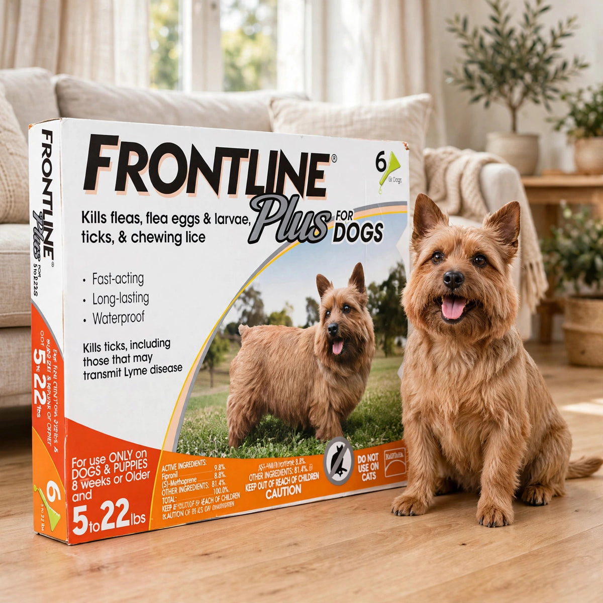 Frontline Plus Flea and Tick Treatment for Small Dogs 5-22 LBs 6 Doses - happypet
