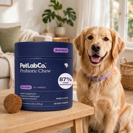 PetLab Co. Probiotic Soft Chews for Dogs – Pork Flavor 30 CT - happypet