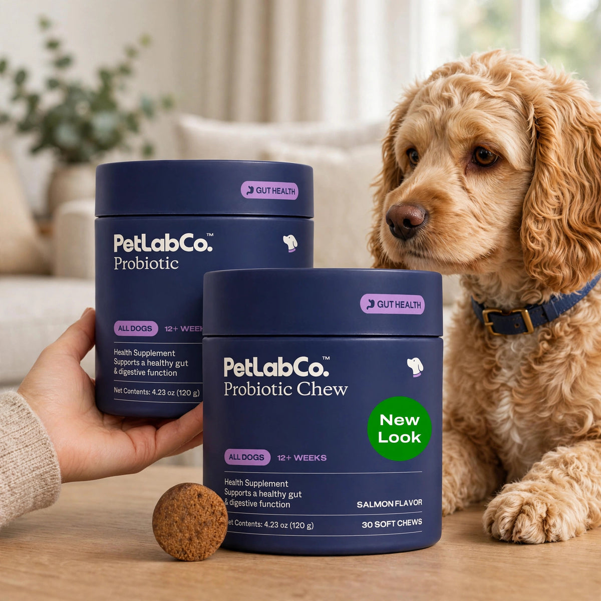 New-PetLabCo. Probiotic Chew Probiotics For Salmon Flavor 30 Soft Chew - howto