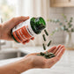 Infinite Age Sea Moss Advanced Superfood 1250mg 60 Count - howto