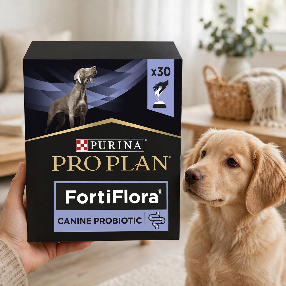 Purina Pro Plan Veterinary Supplements FortiFlora Dog 30 Ct - howto