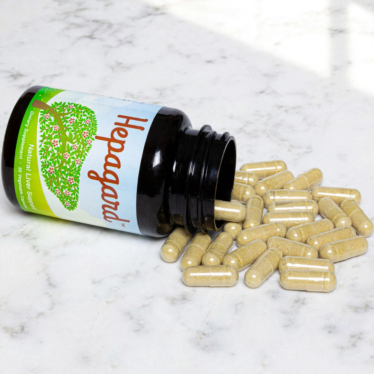 Hepagard Natural Liver Support Supplement with N-Acetyl Cysteine (NAC) - marble