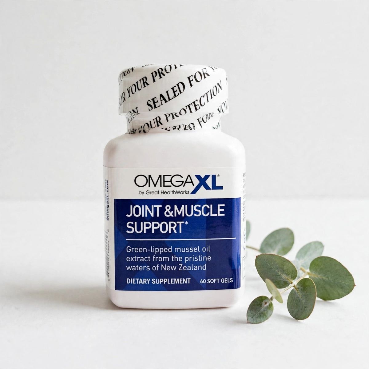 OmegaXL Joint Support Supplement, for Relief - Natural Muscle Support  - studio