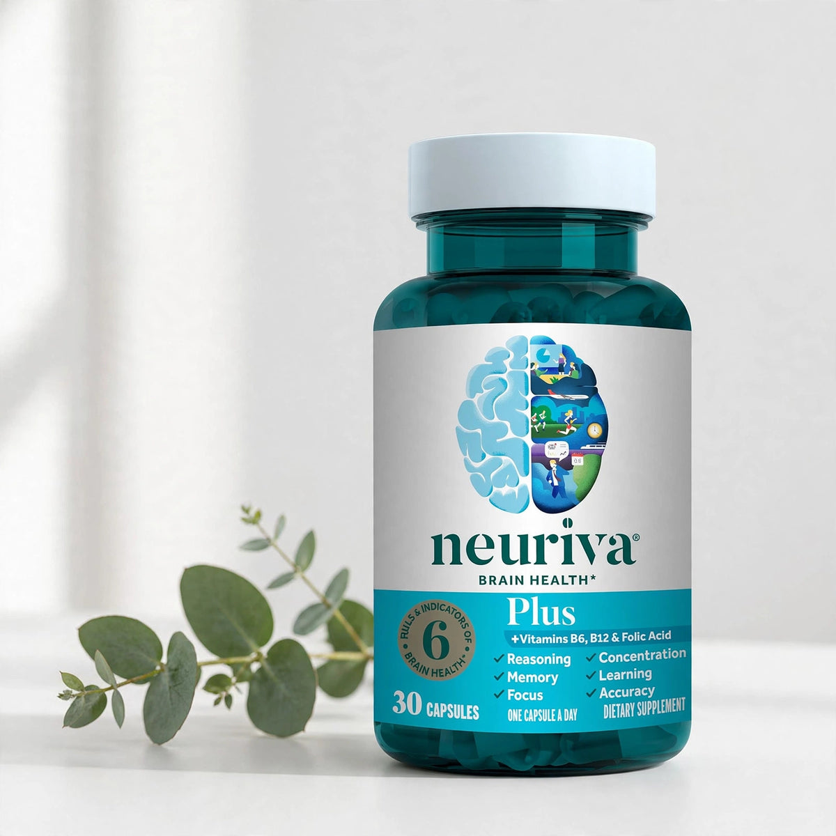 Schiff Neuriva Plus Fast-Acting Brain Performance Capsules - 30 Count - studio