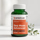 Infinite Age Sea Moss Advanced Superfood 1250mg 60 Count - studio