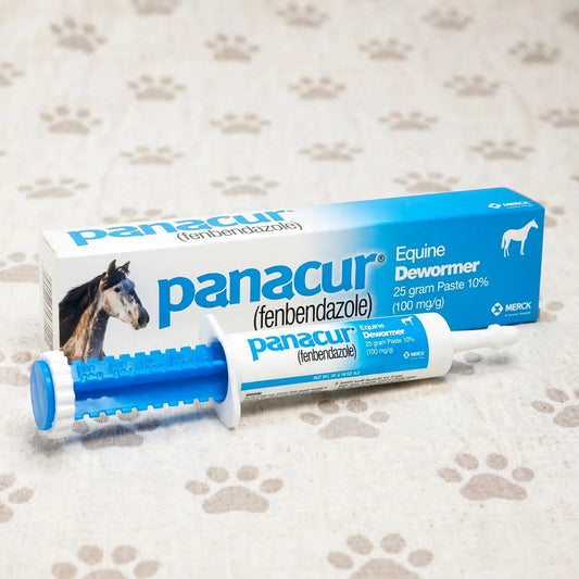 PANACUR Dewormer Horse Paste 10%, 100mg (2-Pack) - studio
