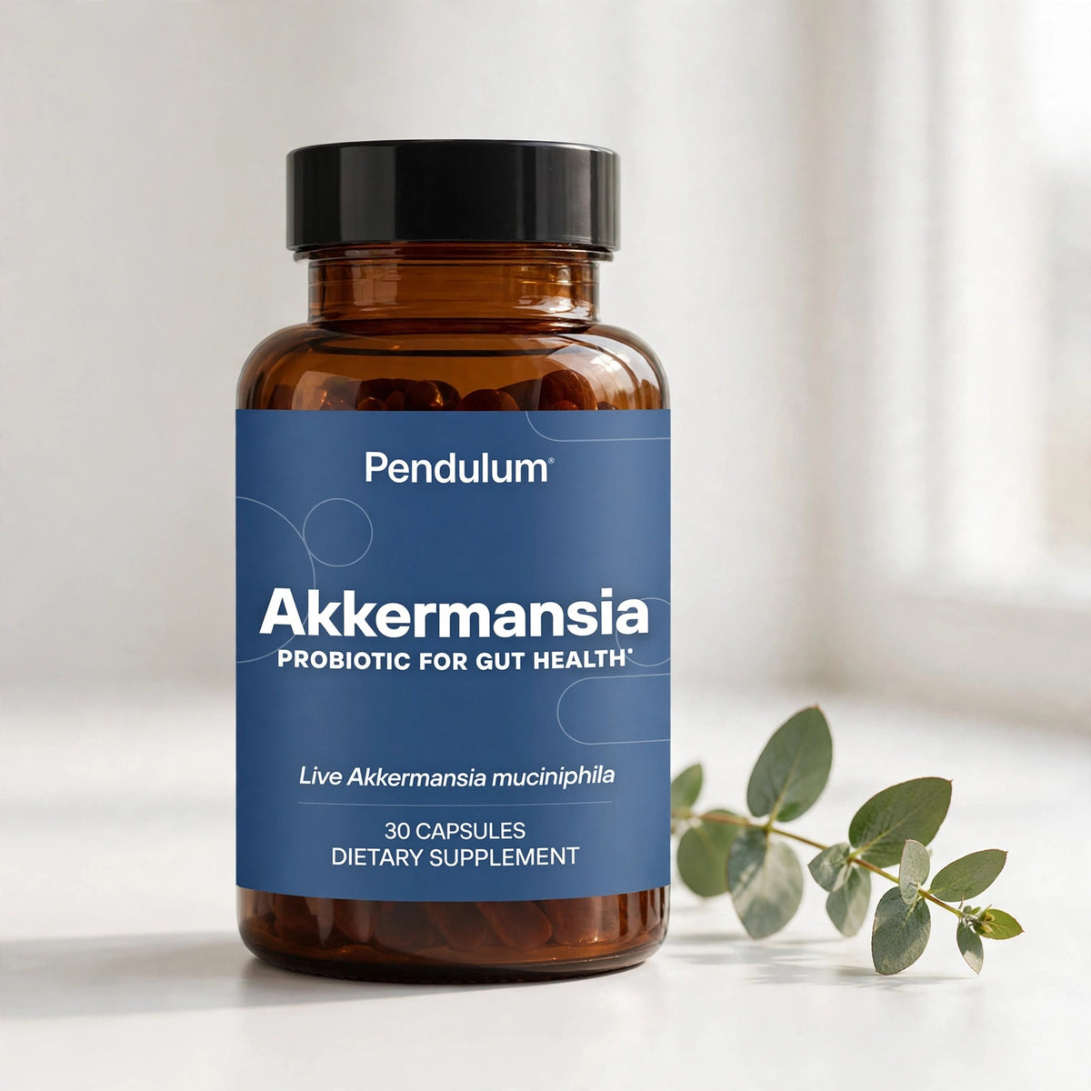 Pendulum Akkermansia 30 Capsules Improves Gut Health Live Probiotic BB - studio