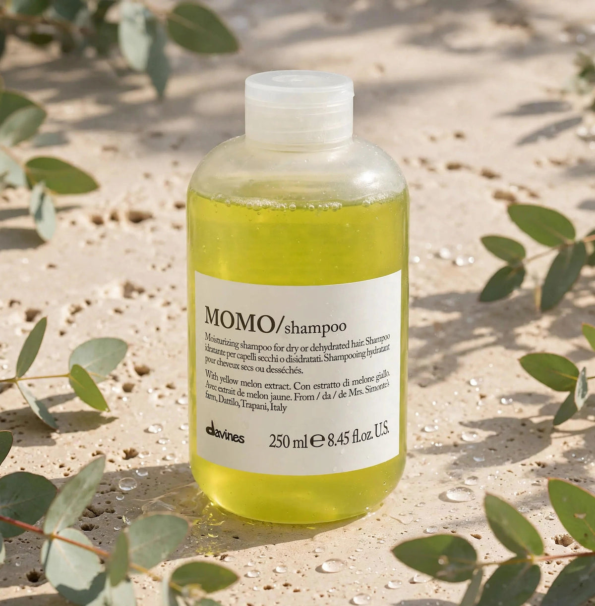 Davines MOMO Moisturizing Shampoo 250ml — product on travertine stone with eucalyptus