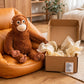 Punch Orangutan Djungeskog Monkey Brown 26 inch Ikea Plush 10402841 - unbox