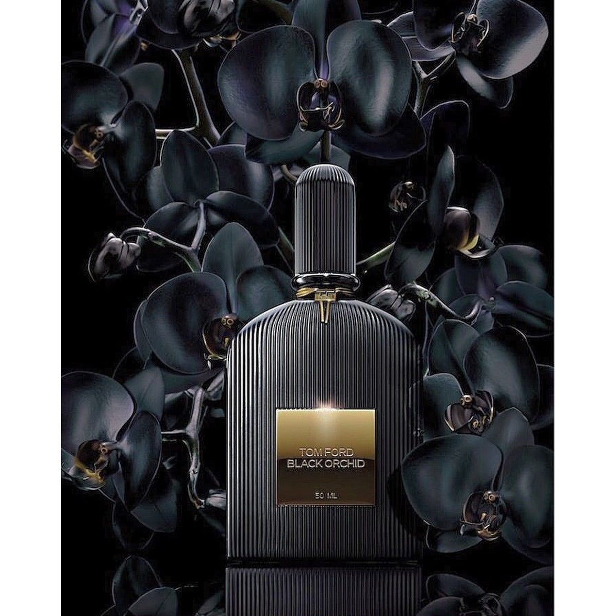 Tom Ford Black Orchid EDP 100ml - view 5