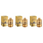 Azzaro Forever Wanted Elixir EDP 100ml - Trio - 3 Bottles (20% OFF)