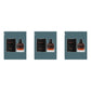 Valentino Uomo Born in Roma Coral Fantasy () EDT 100ml - Trio - 3 Bottles (20% OFF)