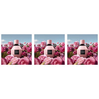 Trio - 3 Bottles (20% OFF)
