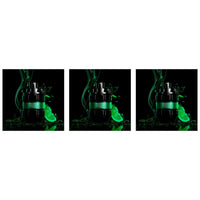 Trio - 3 Bottles (20% OFF)