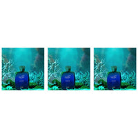 Trio - 3 Bottles (20% OFF)